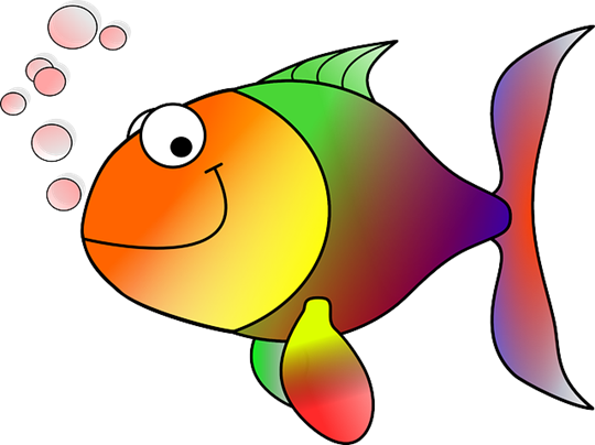 Redifish Investment 